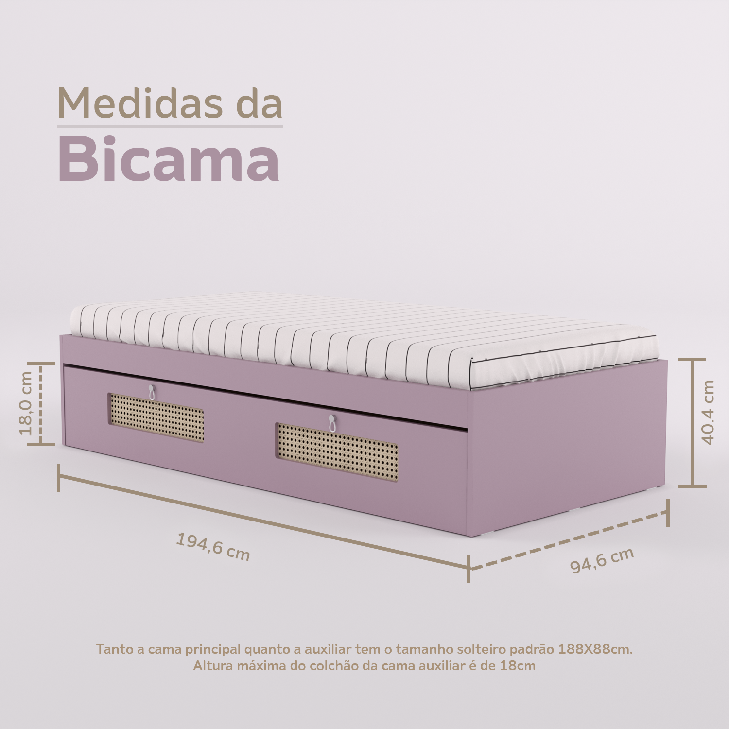 Bicama
