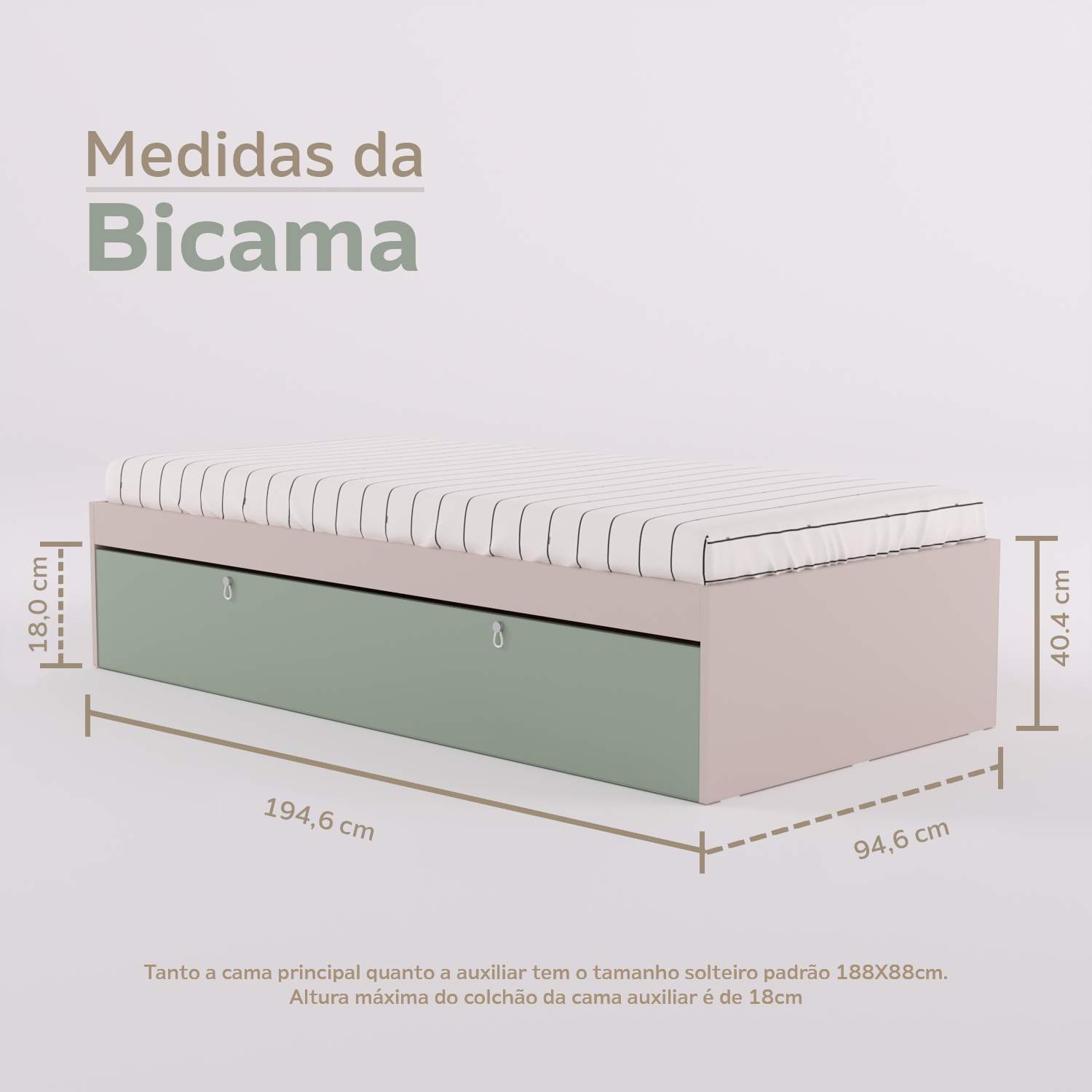 Bicama